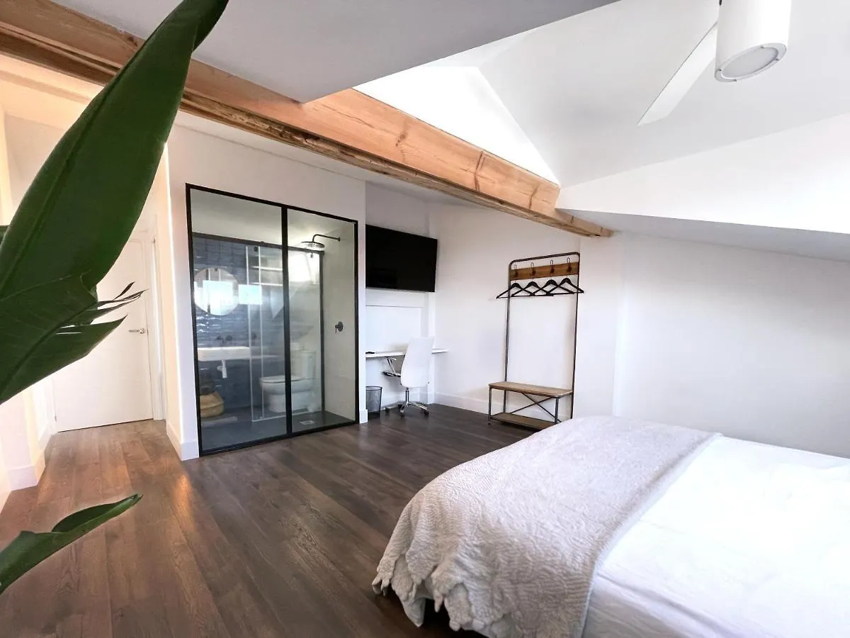 Luxury Pintoreria Atico Vitoria-Gasteiz Spain